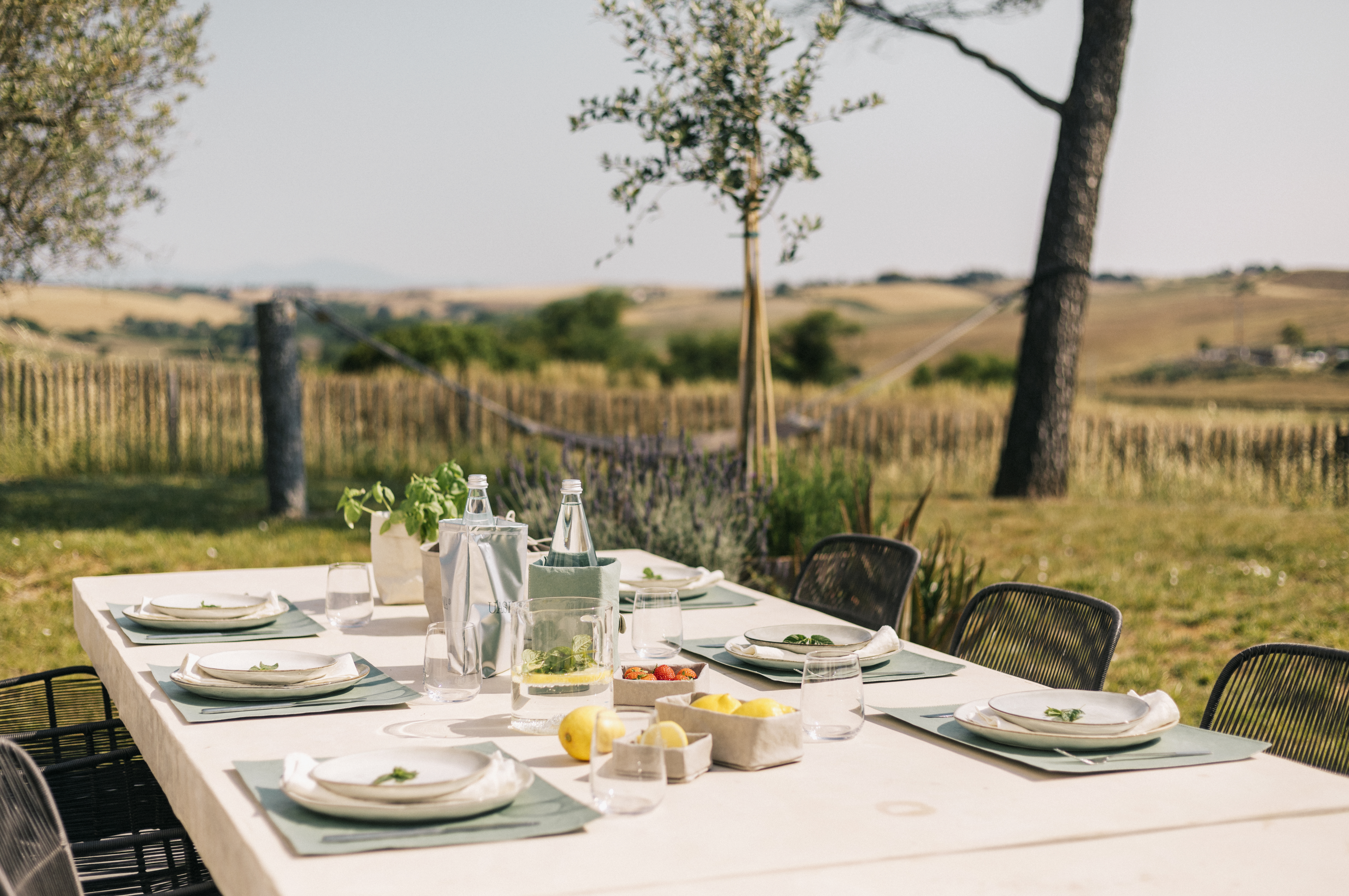 HAVE YOU CHOSEN YOUR FAVOURITE PLACEMAT YET?