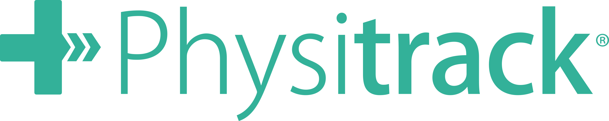 https://www.physitrack.com