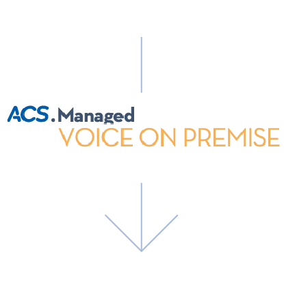 Voice On Premise
