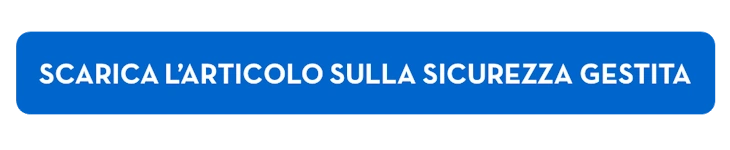 Article Mauro Gottardi Security