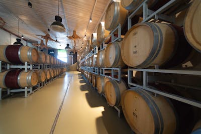 Verkostungen von Casadei-Kellerfässern