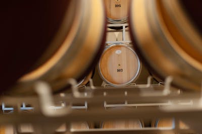 cantina invecchiamento vini tenuta casadei