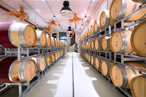 barriques cantina tenuta casadei maremma