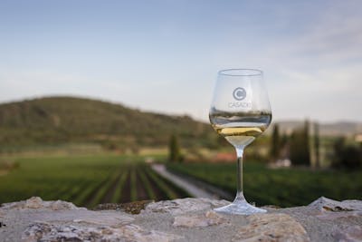 bicchiere vino bianco maremma degustazione visita guidata