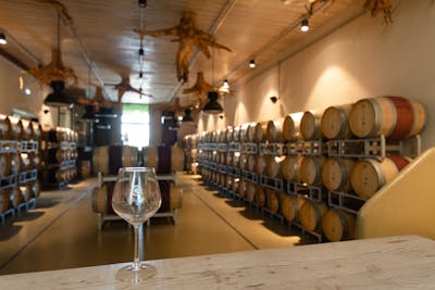 wine tasting maremma casadei estate