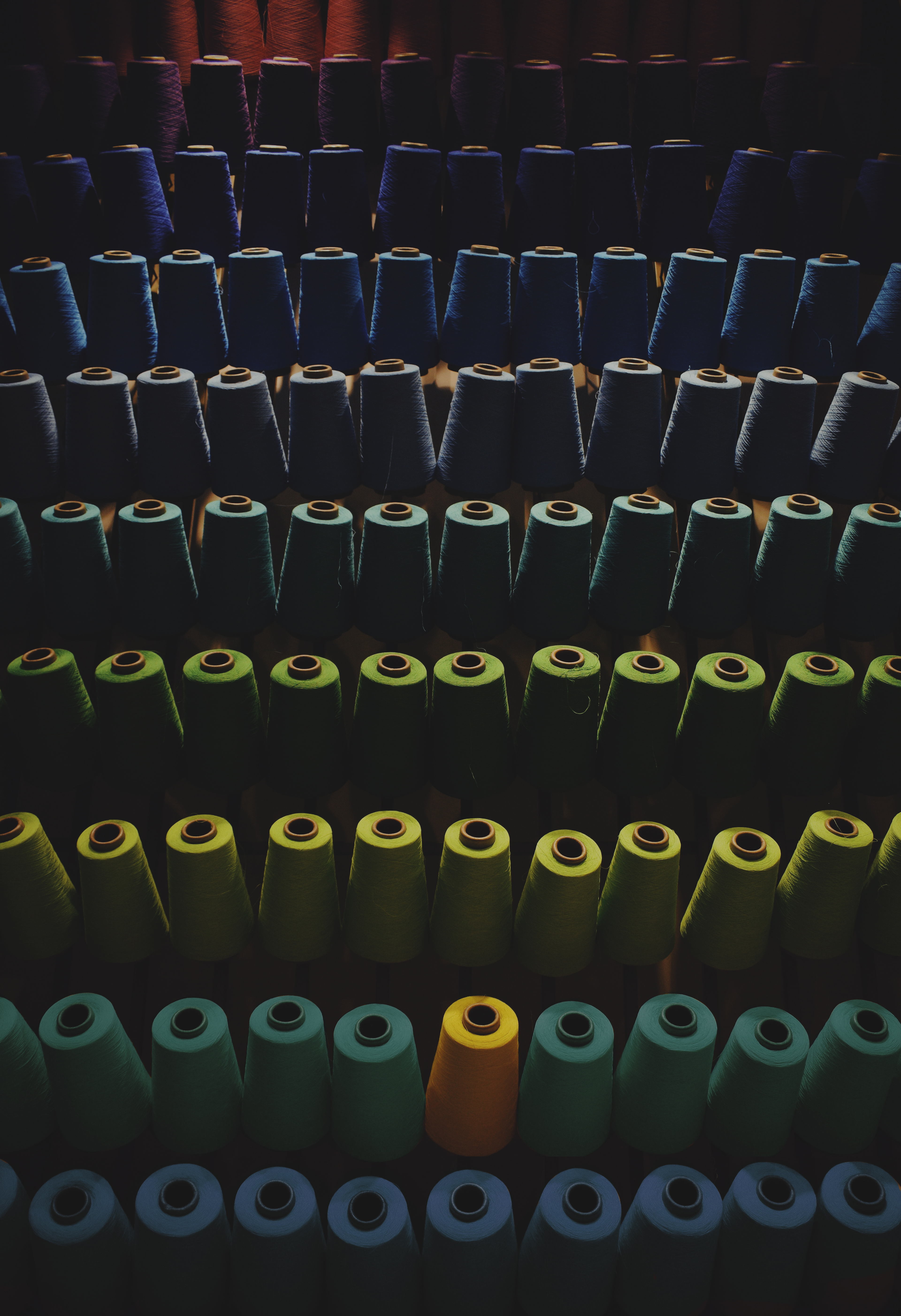 various threads arranged by color