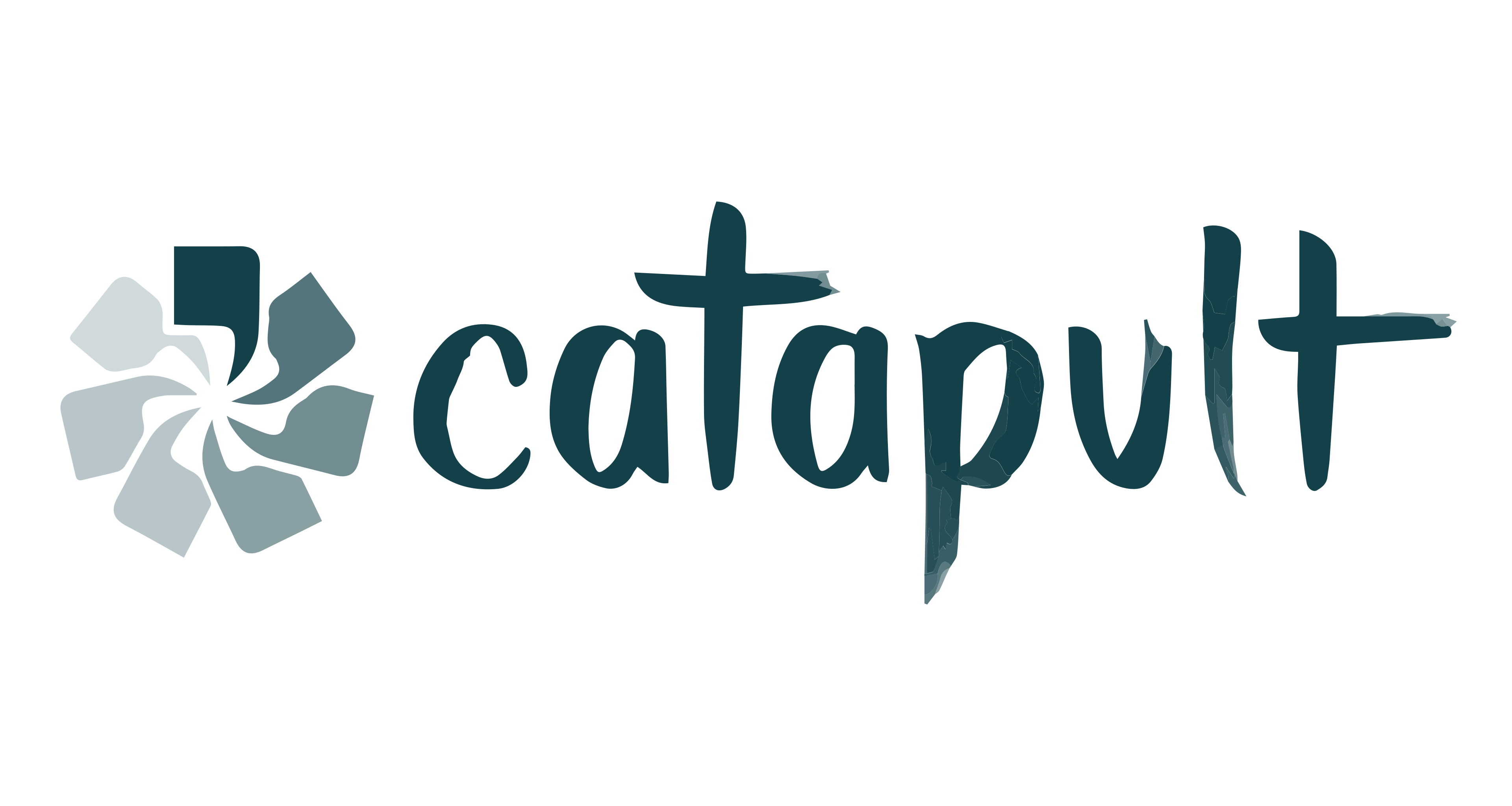 Catapult logo