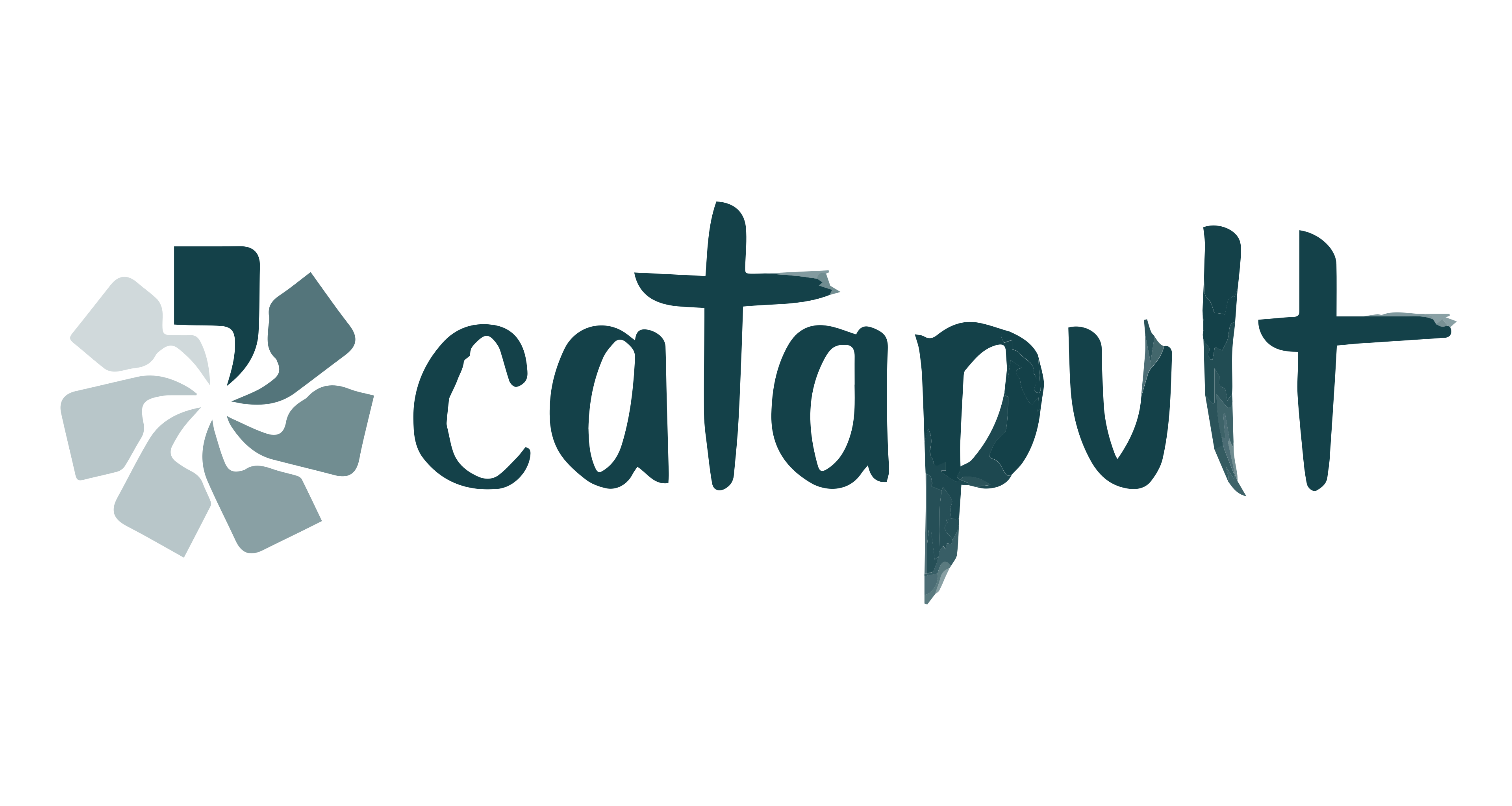 Catapult logo