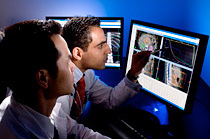 Doctors looking at x rays