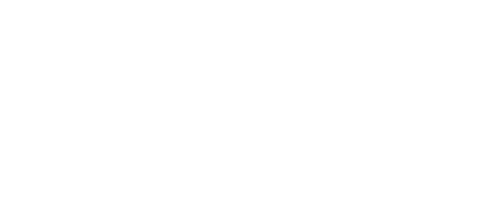 Carpeggiani Srl