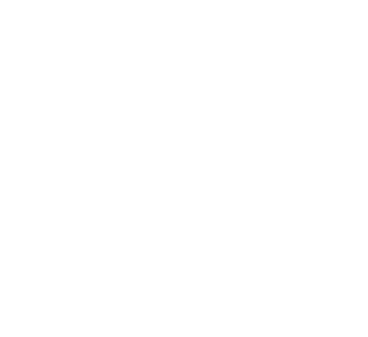 Express Service