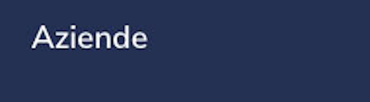 Anagrafica Aziende