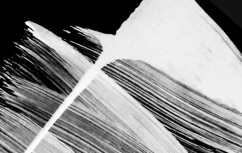 Abstract image