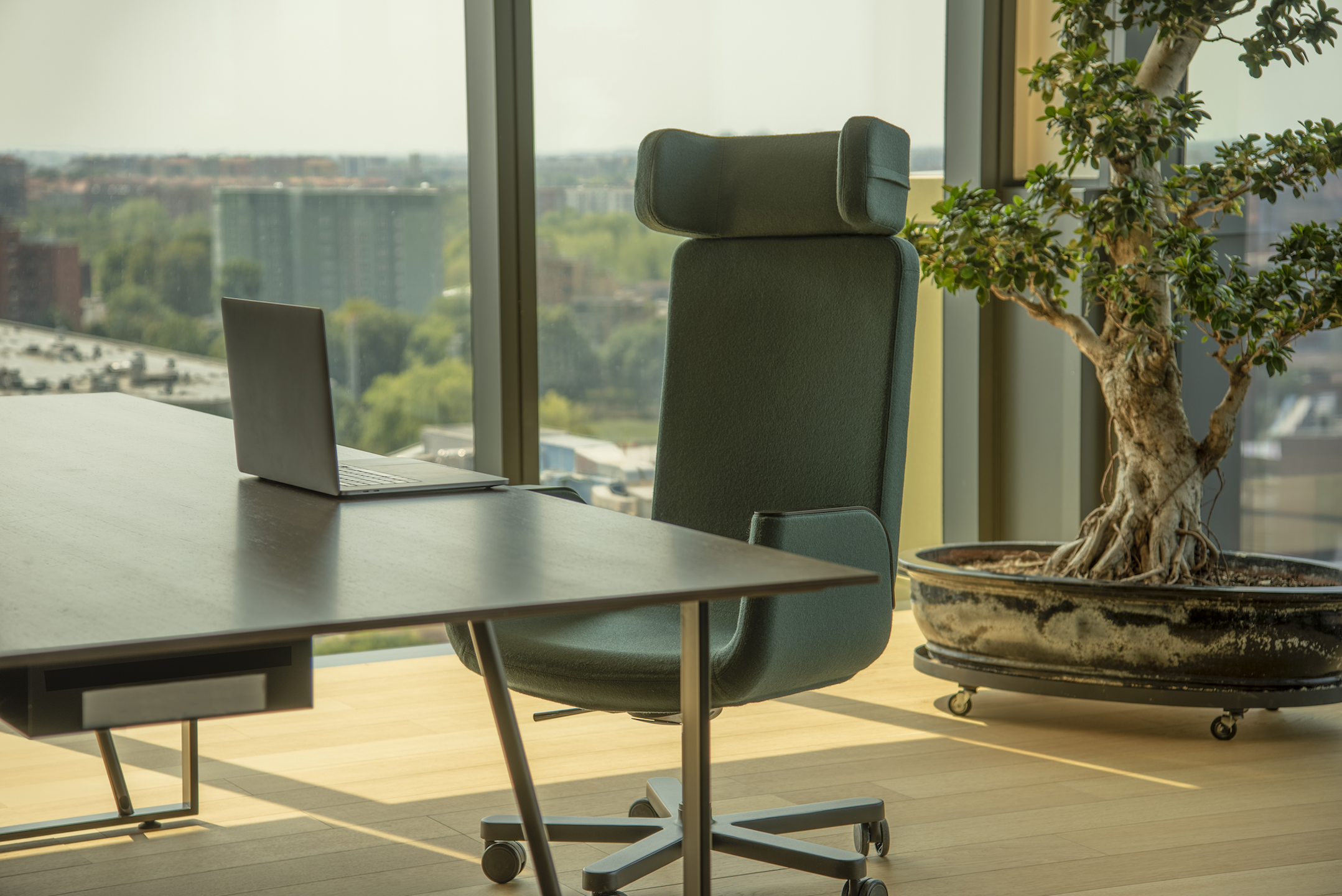 Green Silente chair in the office with a laptop on the table in the foreground and a tree and big windows in the background