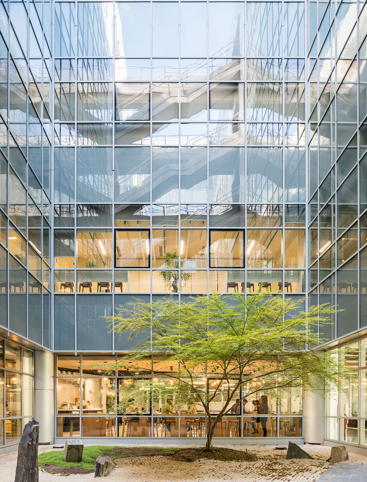 Inside garden of Madrid studio