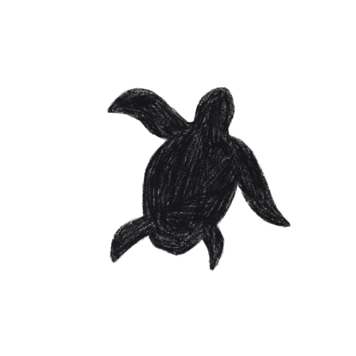 illustration of a turtle for "Risk nothing, change nothing."