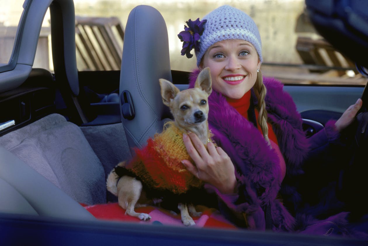 legallyblondec2001metrogoldwynmayerpicturesinc2hires