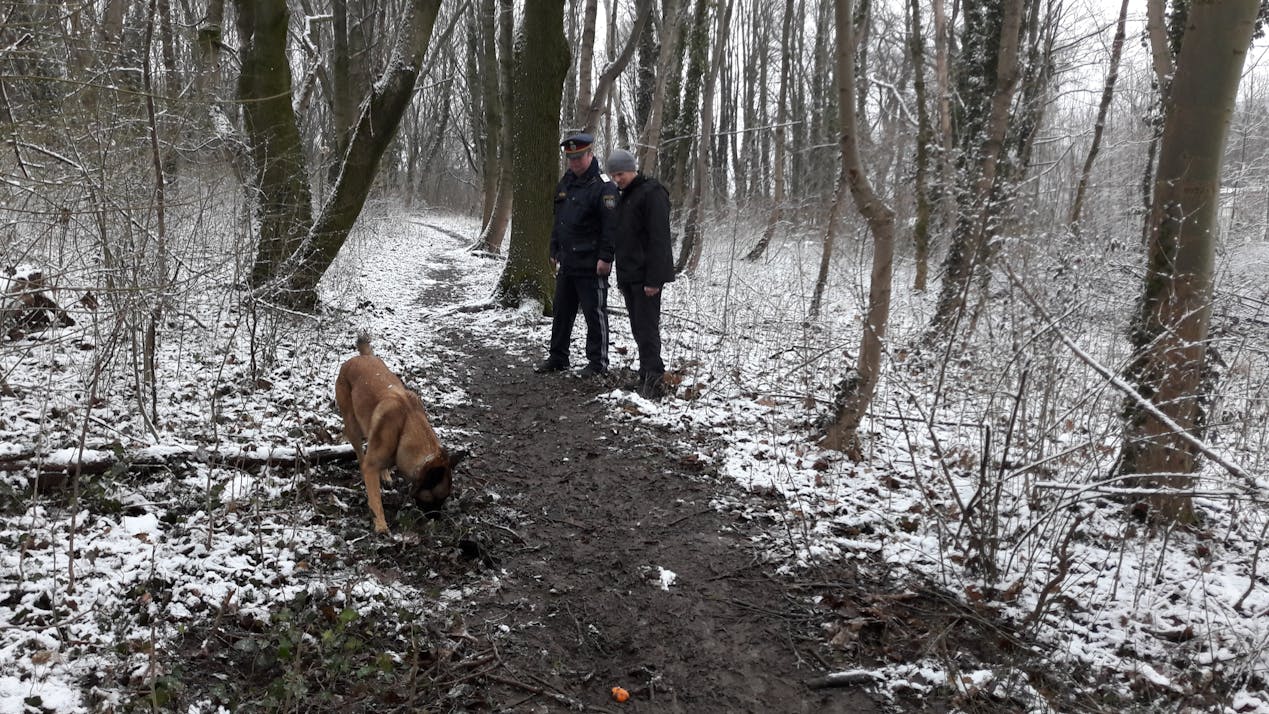 wachzimmerottakringspuerhundhires