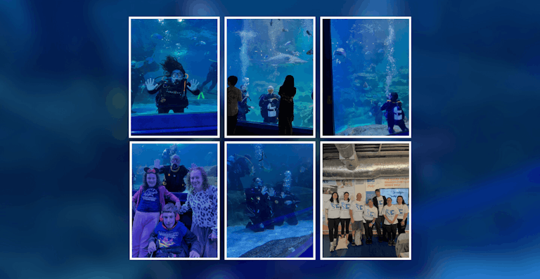 Taking the plunge into shark-infested waters for Stick ‘n’ Step!