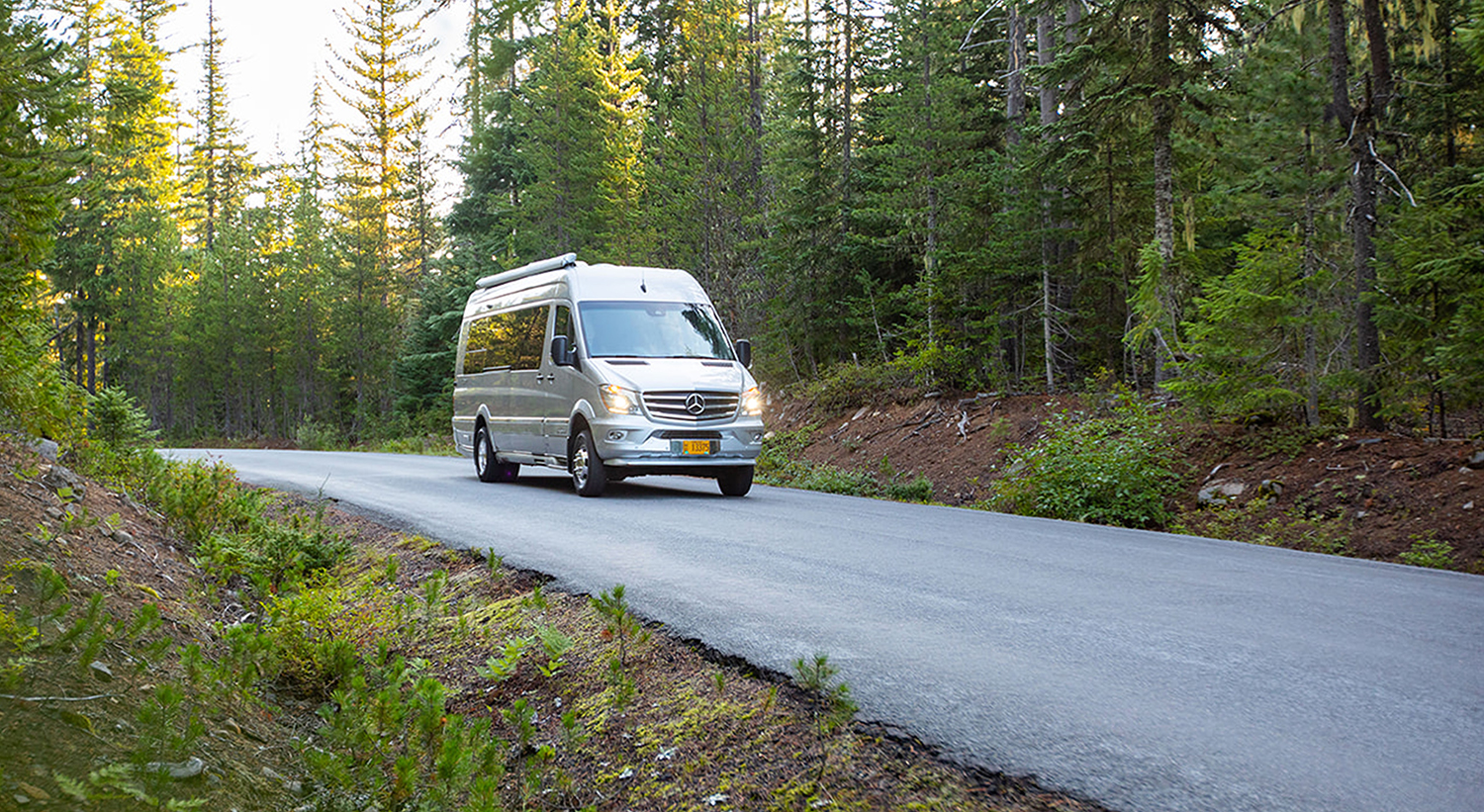 Van driving through forest