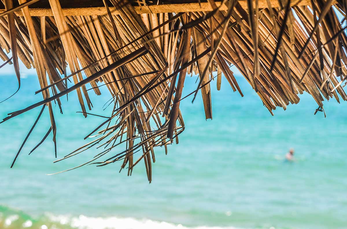 Straw roof of hut on beach