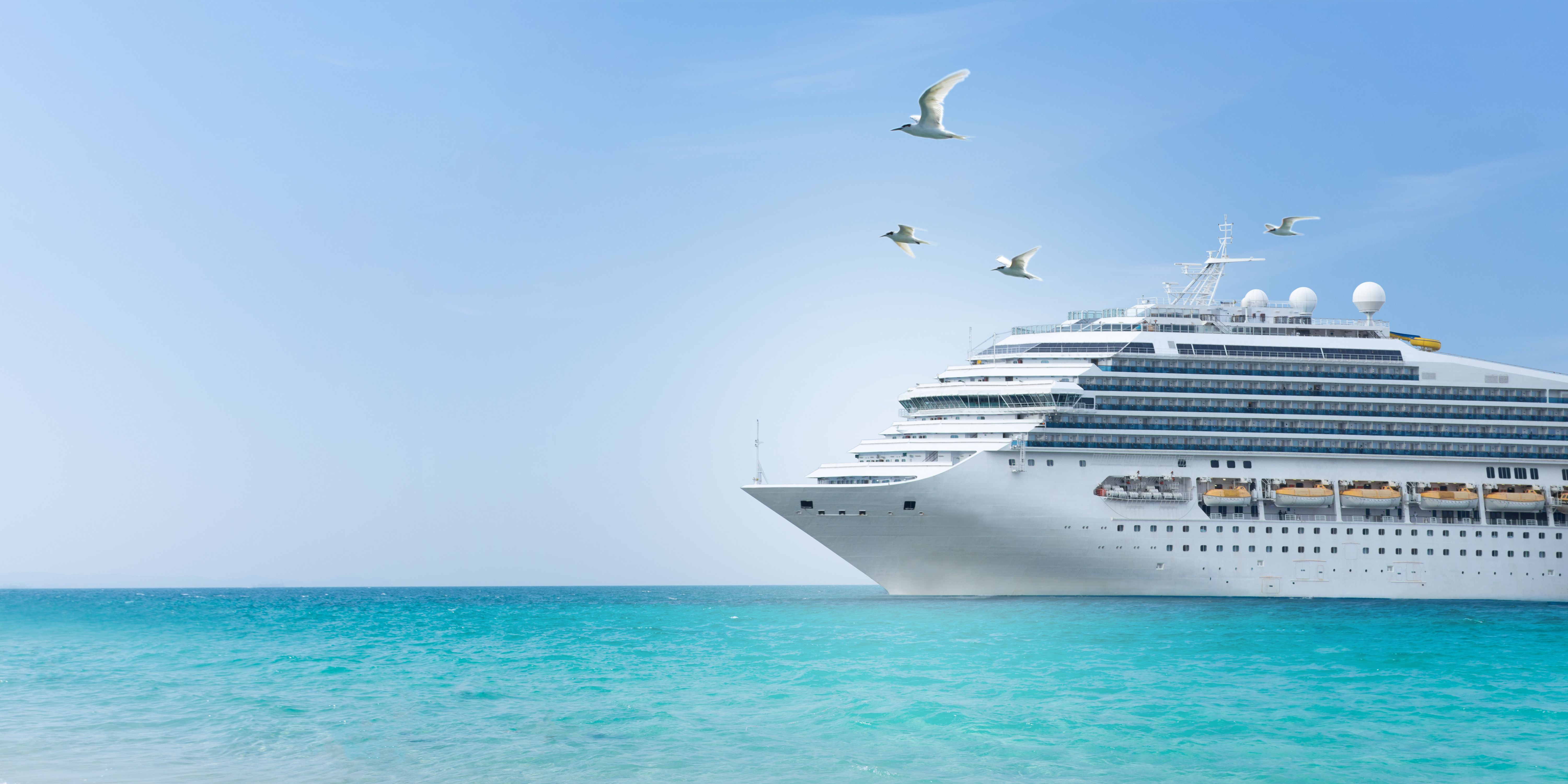 Cruise ship with seagulls overhead