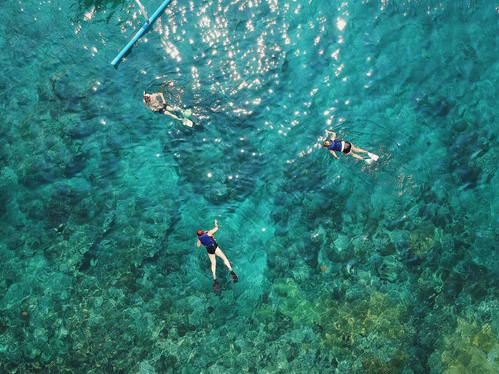 Three tourists swimming through clear waters