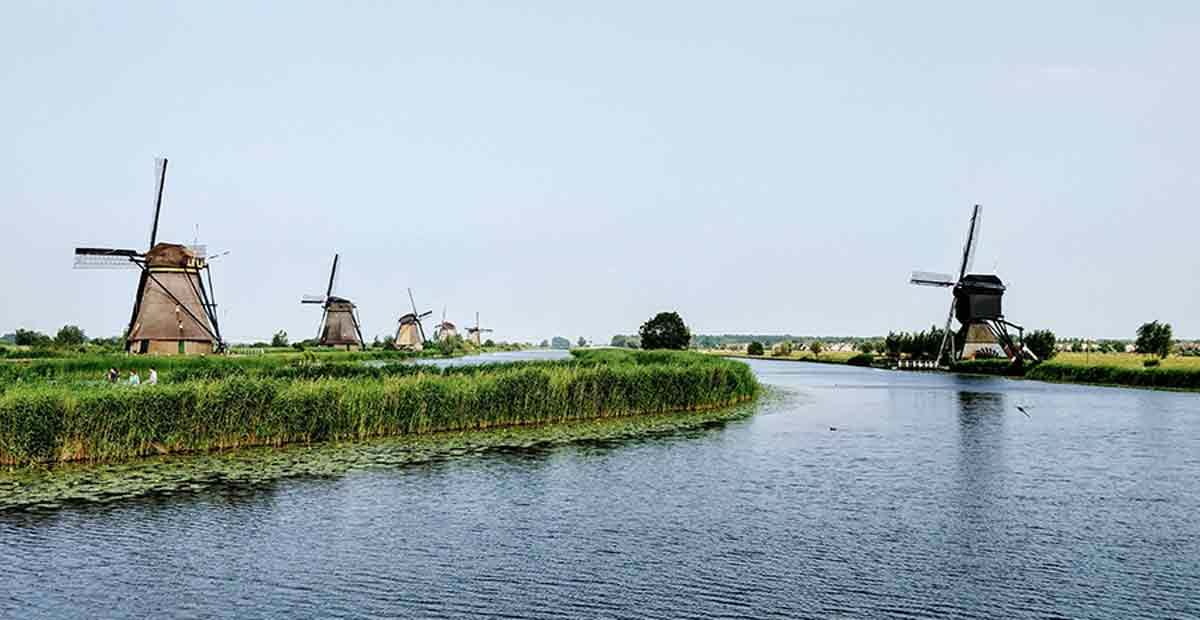 Windmills in grassy wetlands in the Netherlands