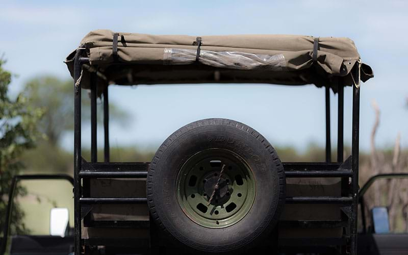 Rear of green safari jeep