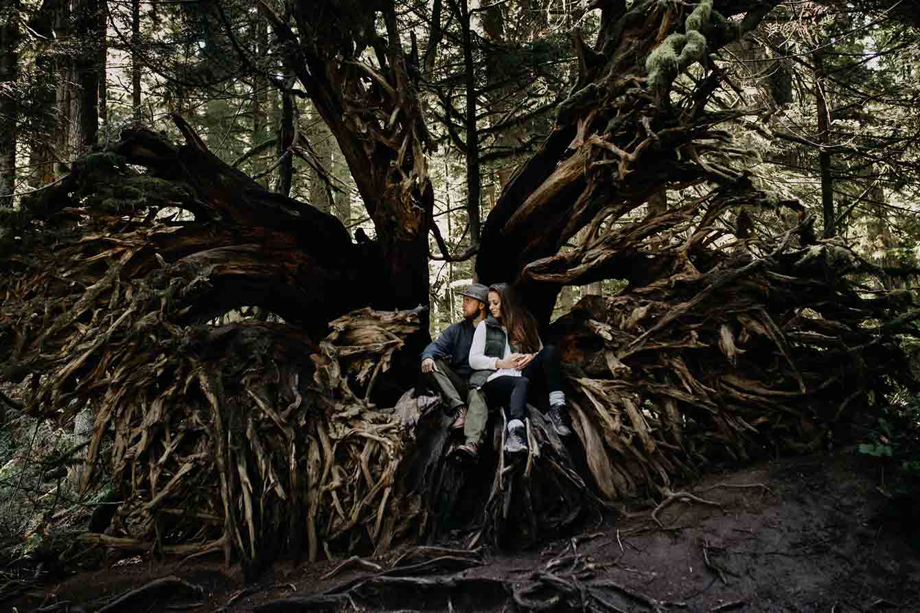 Couple sitting on roots of massive fallen tree