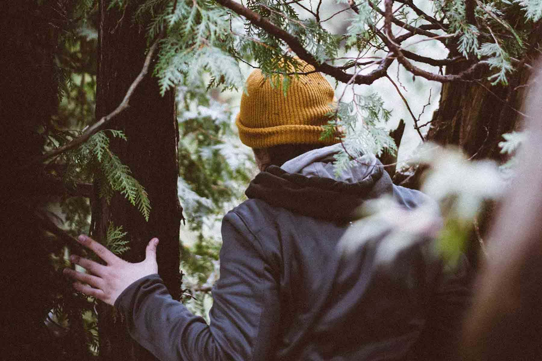 Person walking through dense trees