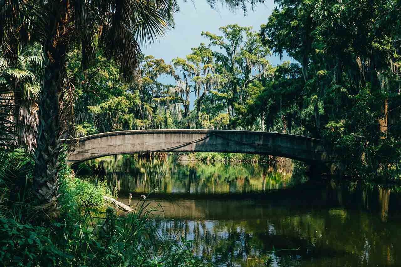 Bridge over river in jungle