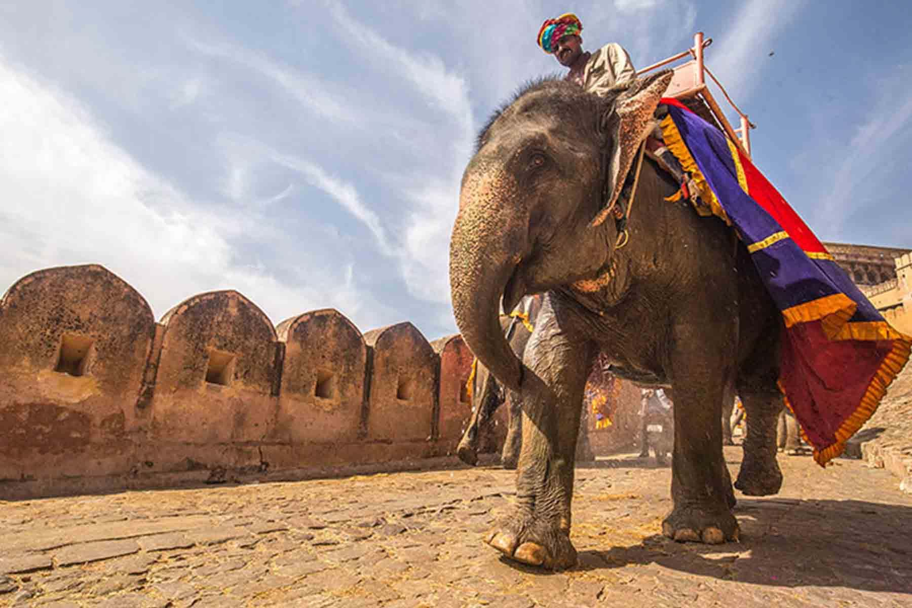 Man riding elephant