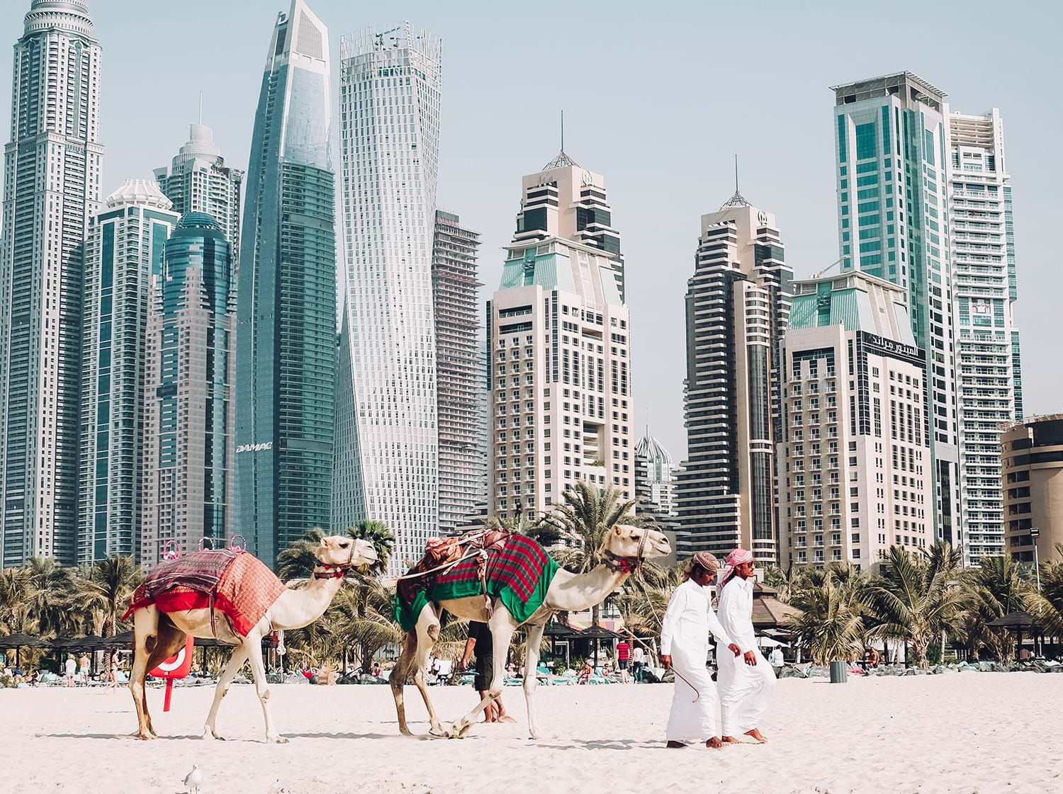 Men leading camels across beach with tall buildings in background