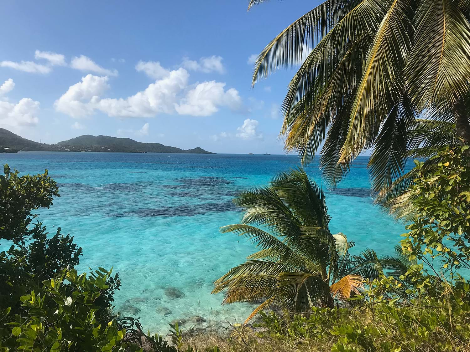 Greenery and clear waters of Columbian beach