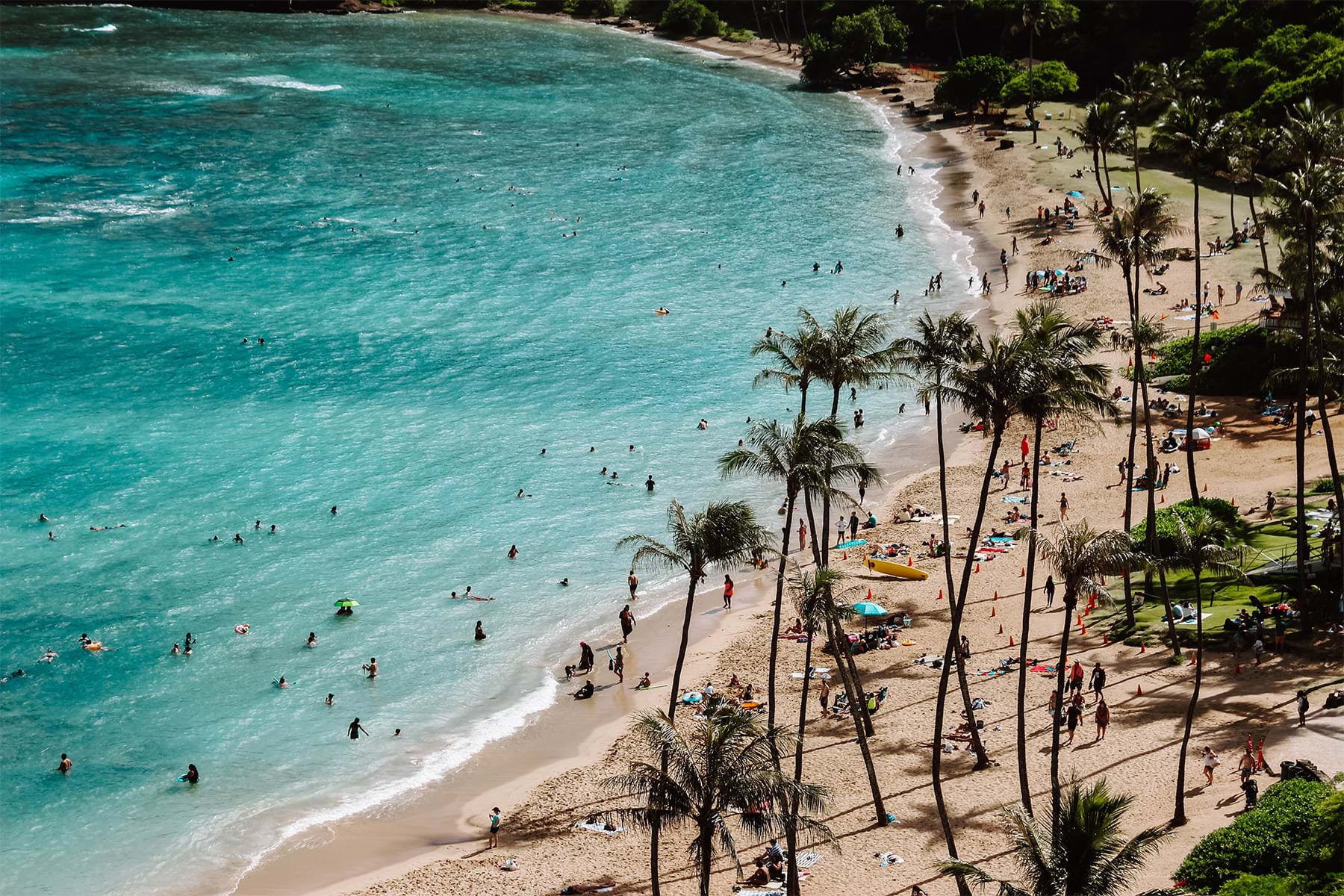 Beach dotted with palm trees in Cancun