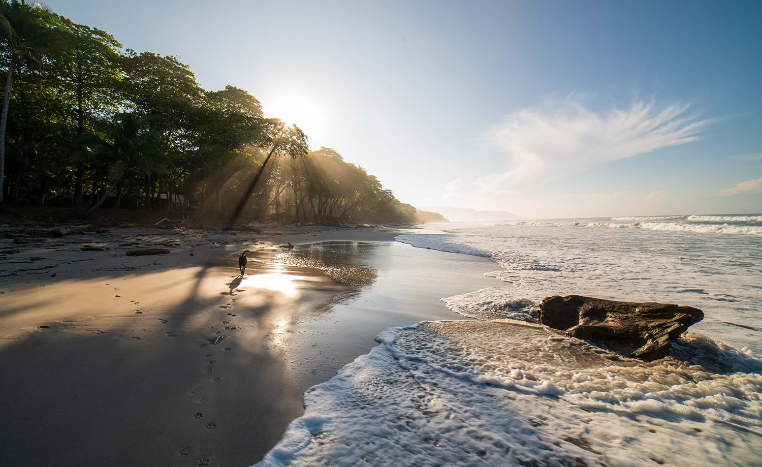 Foamy waves wash up on beach