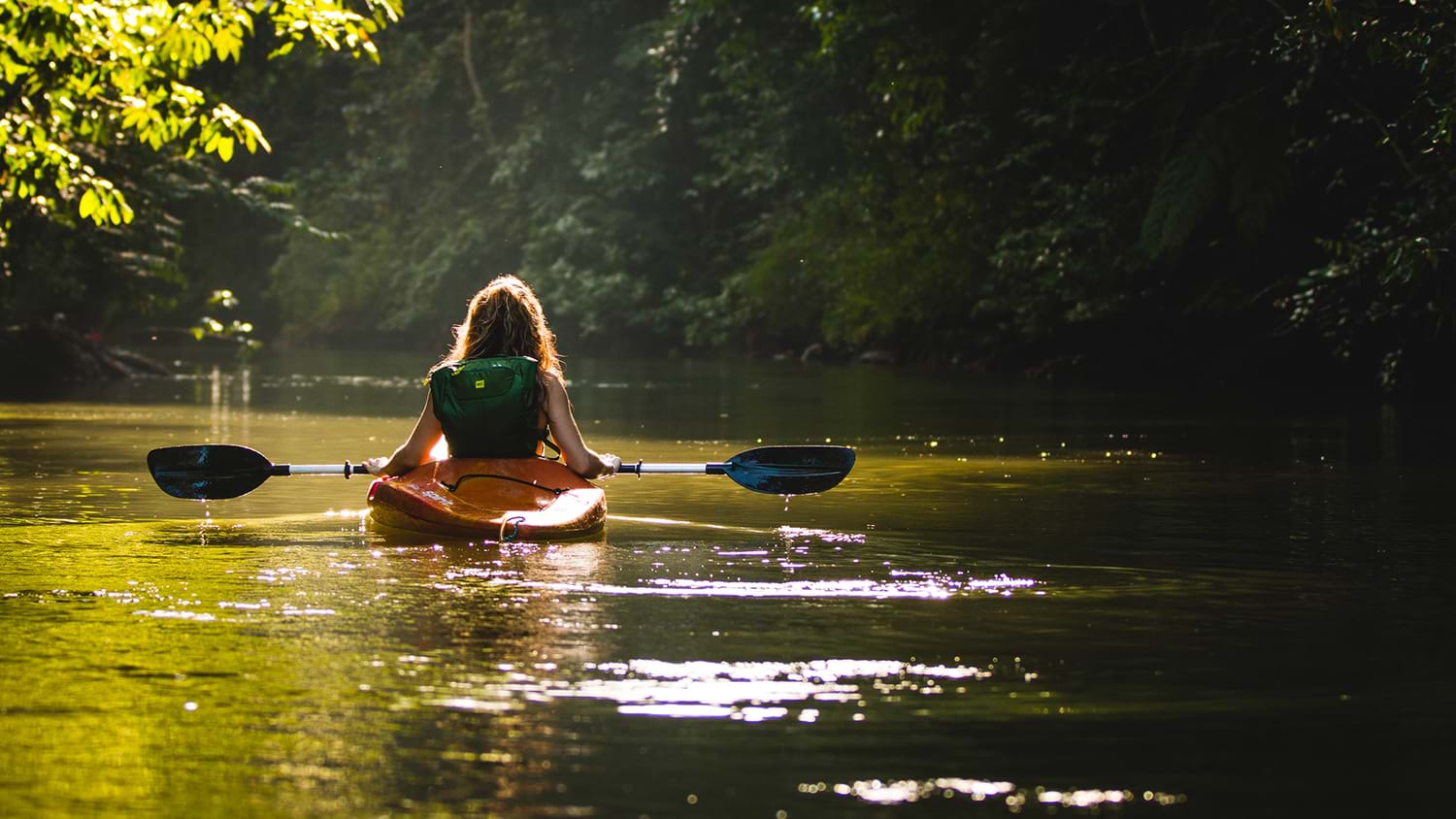Person kayaking down green river