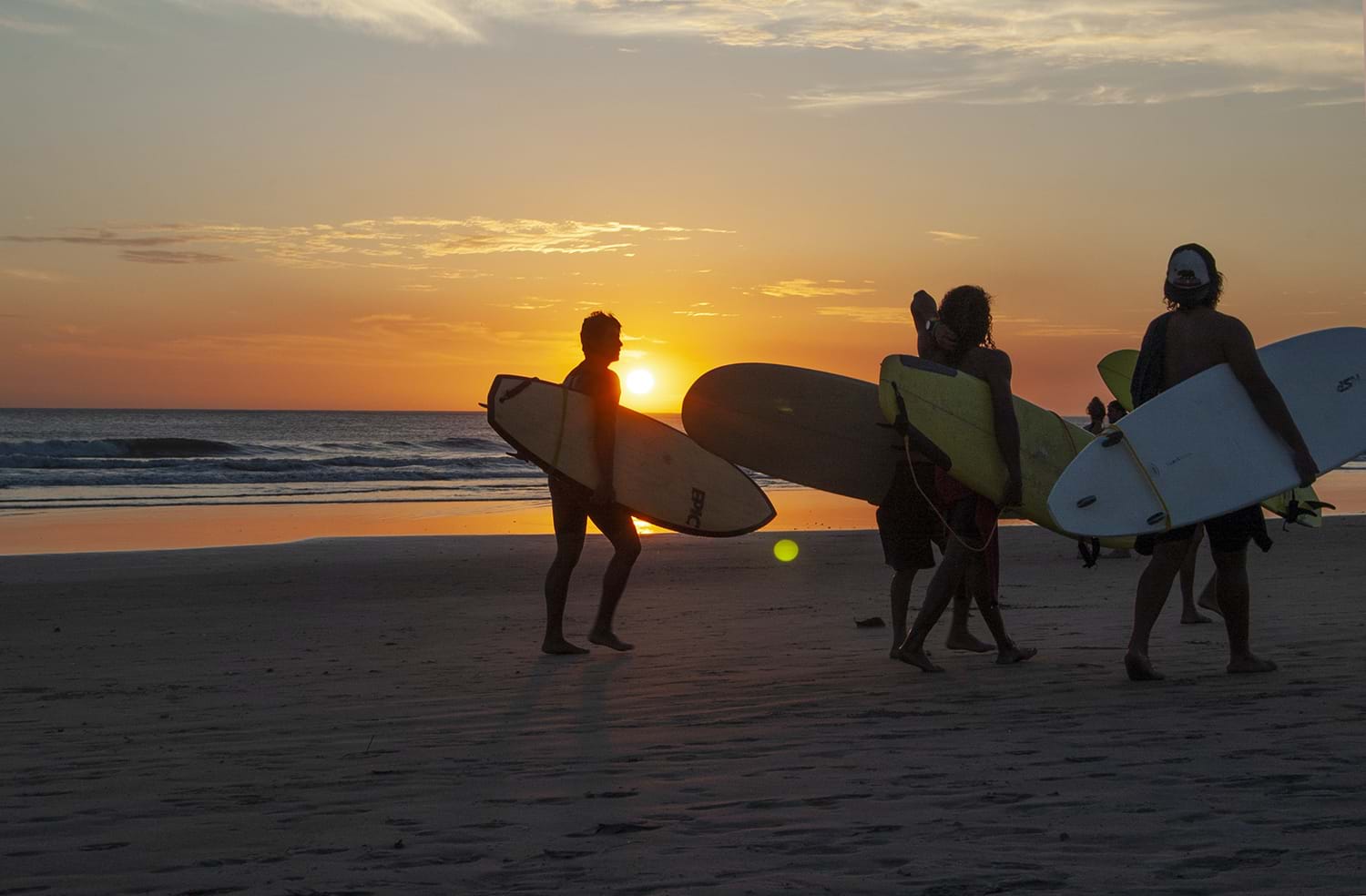 Group of people carrying surfboards on beach