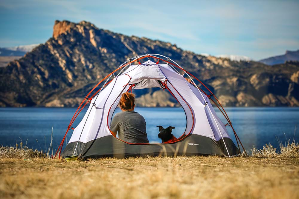 Woman camping in tent with her dog