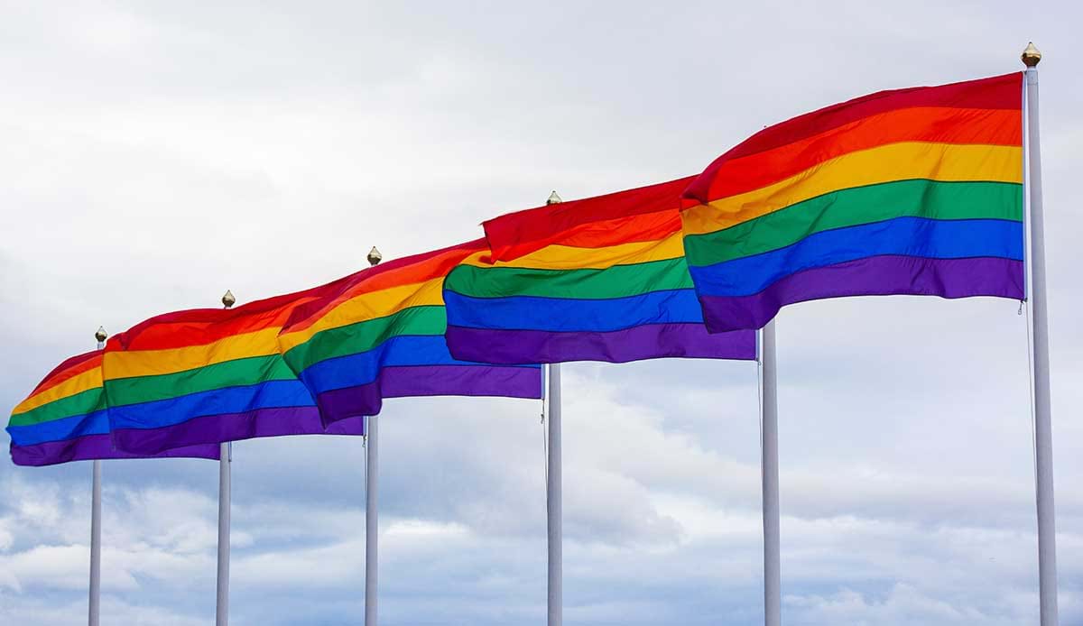 Row of rainbow flags 