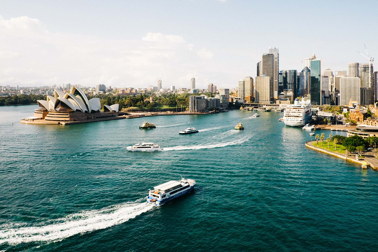 Sydney harbor