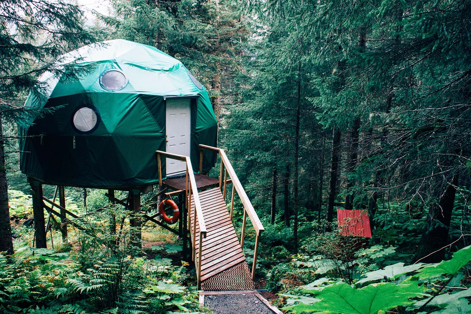 Green domed tent on stilts in the forest
