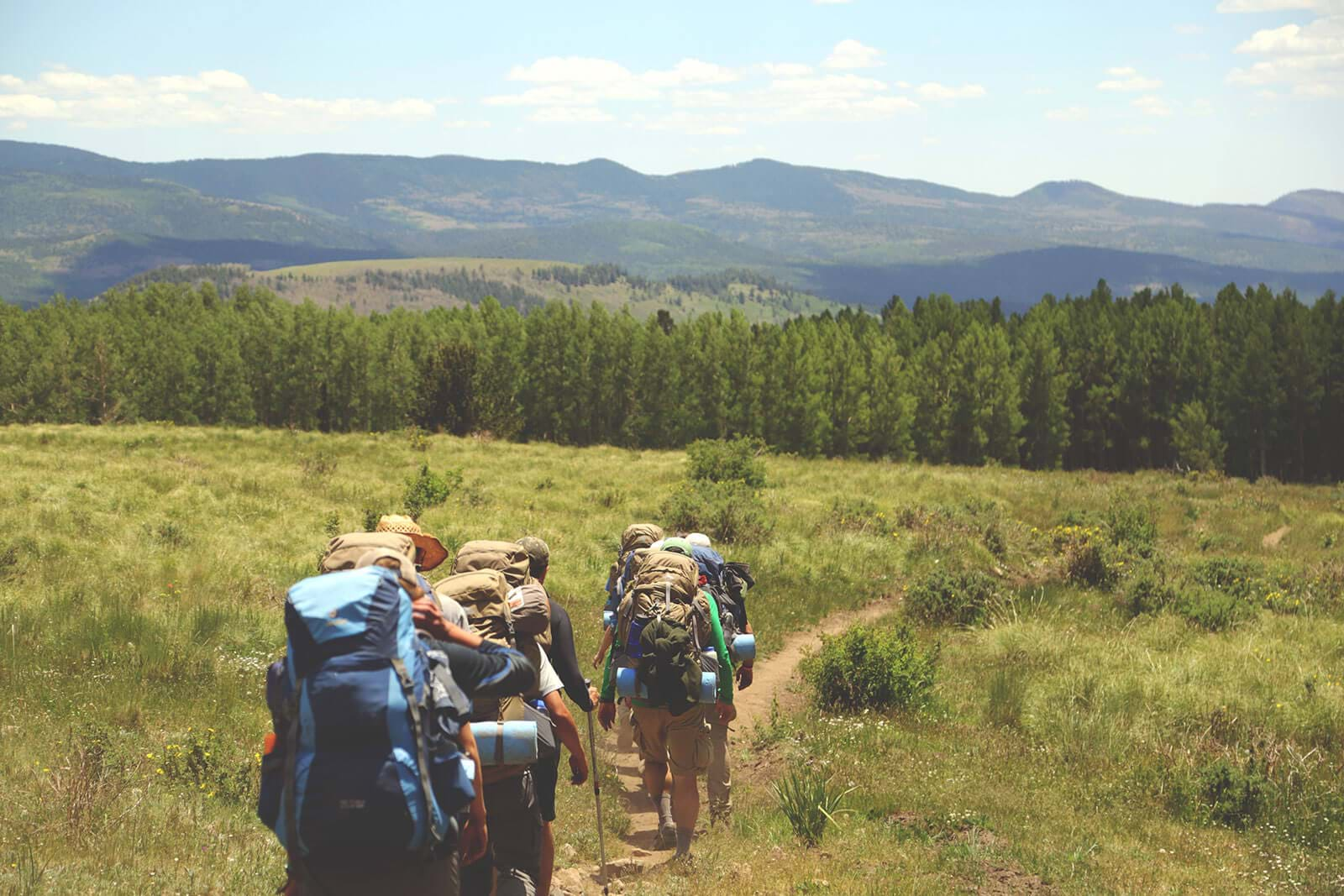 Group hiking along trail through field