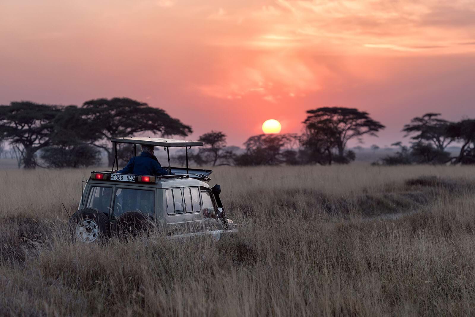 Safari jeep in tall grass 