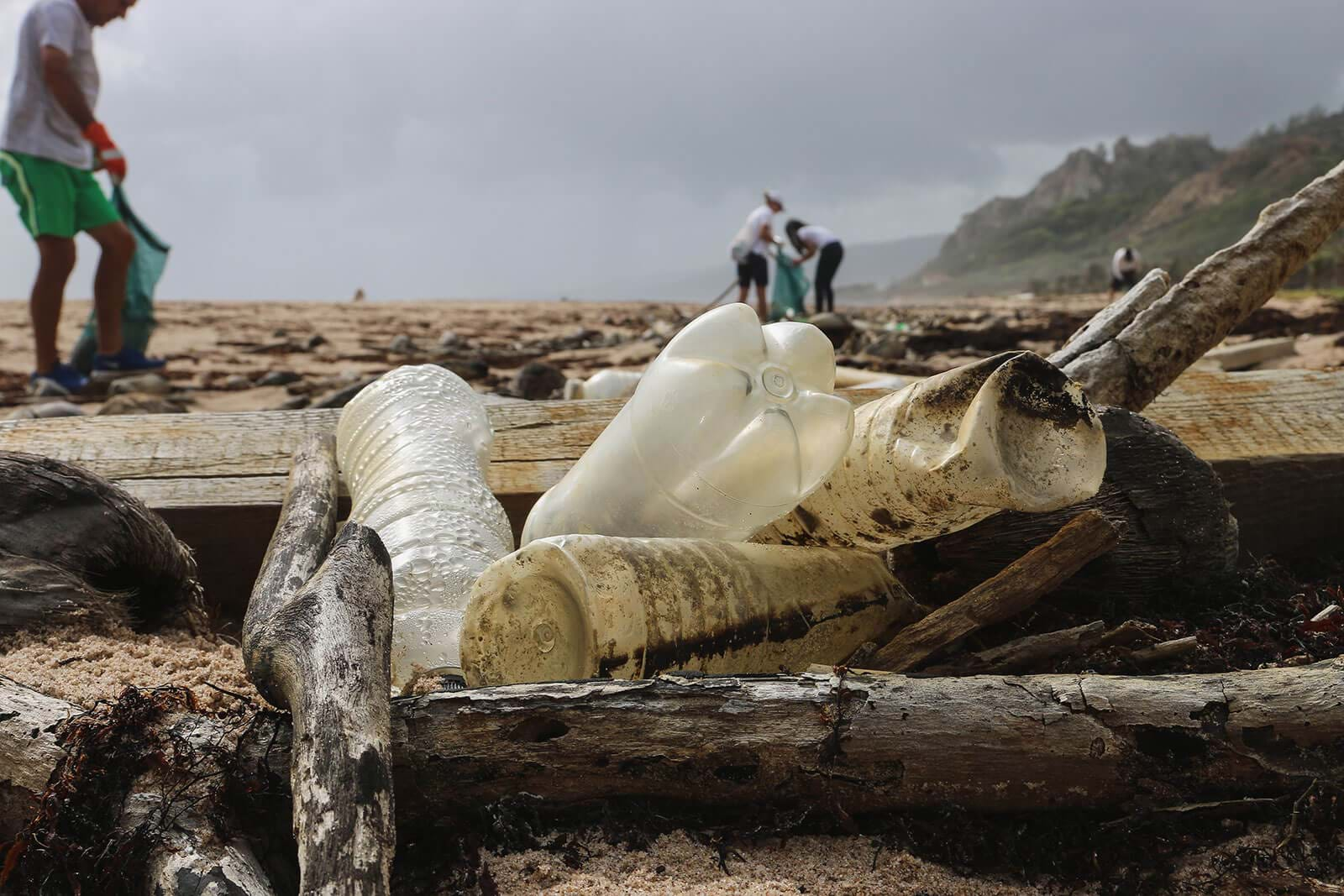 Plastic bottles on beach, people picking up litter in background