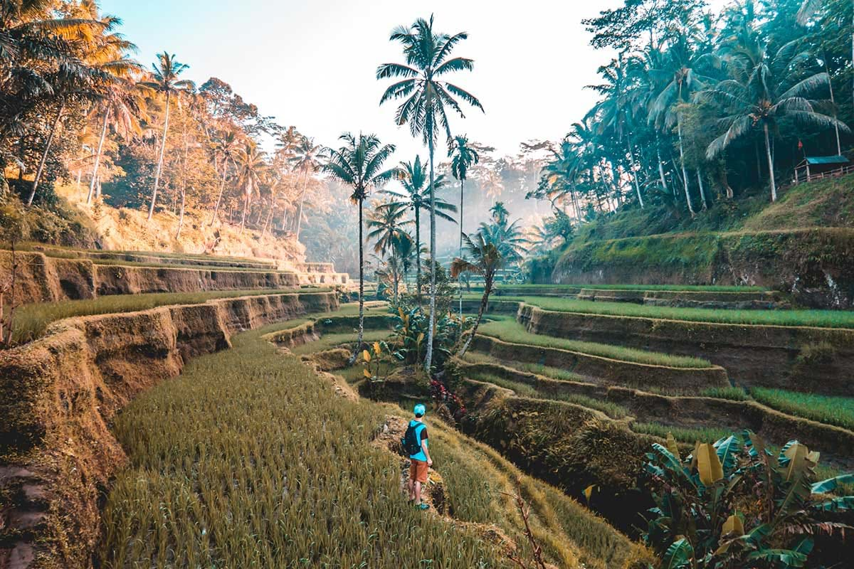 Young tourist standing among layered plateus in tropical forest