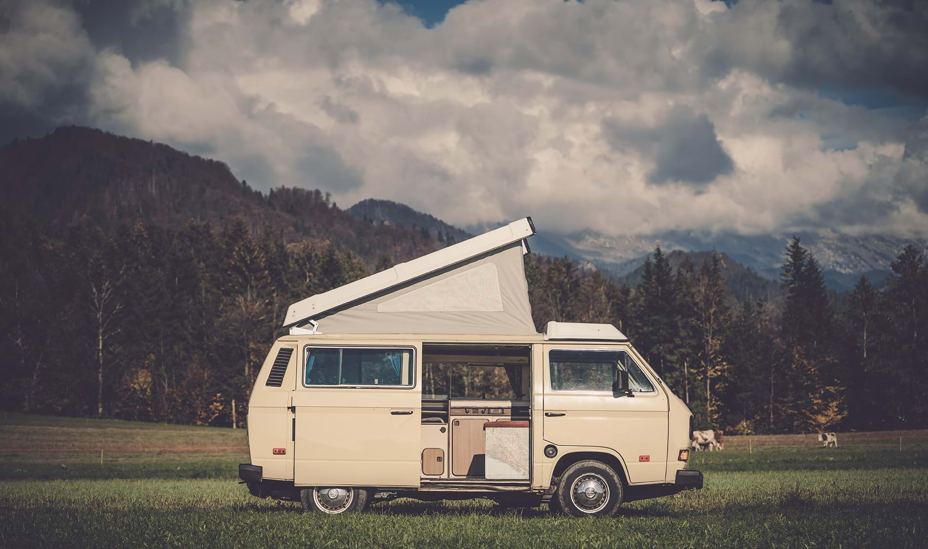 Small RV open and parked in field with cows