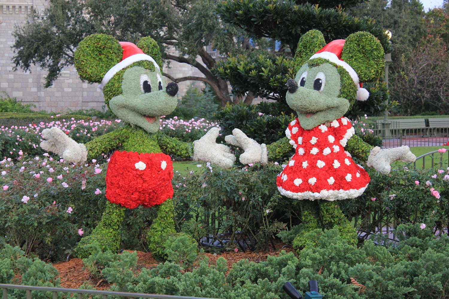Hedge sculptures of Mickey and Minnie
