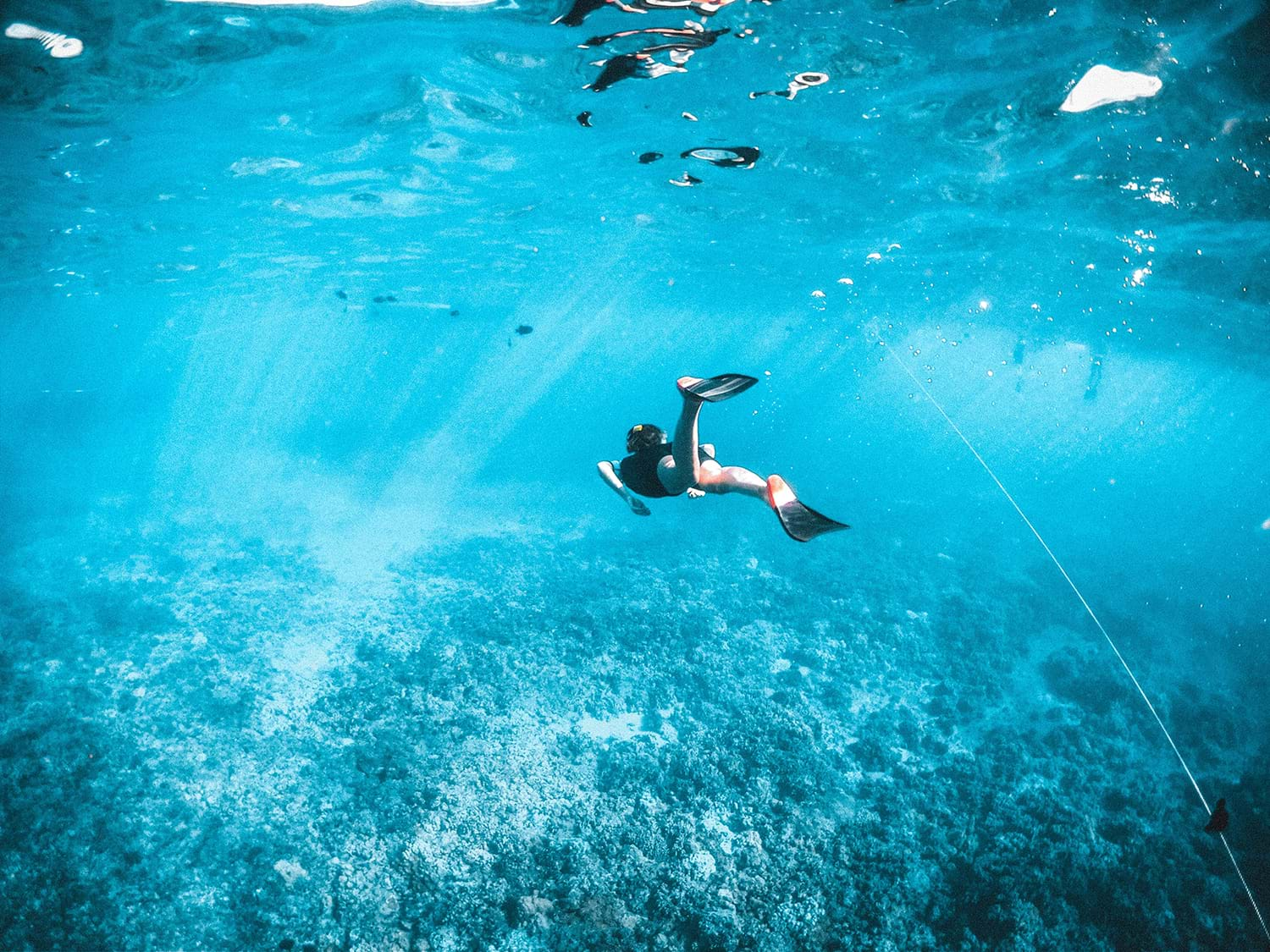 Diver swimming in the ocean